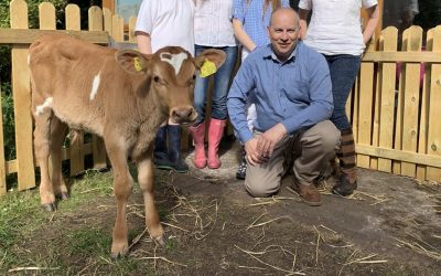 Meat The Family – Channel 4 Veal Calves