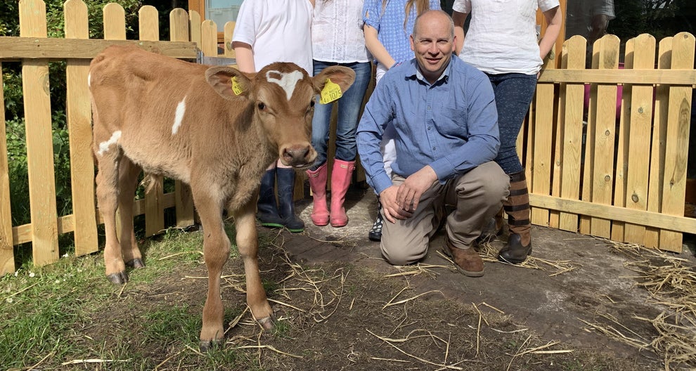Meat The Family – Channel 4 Veal Calves